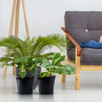 50Pcs Nursery Pots Variety Pack Plastic Pots for Plants,6 inch Seedling Pots with Drainage Holes Indoor Outdoor Flower Pots for Succulent Vegetable Herb