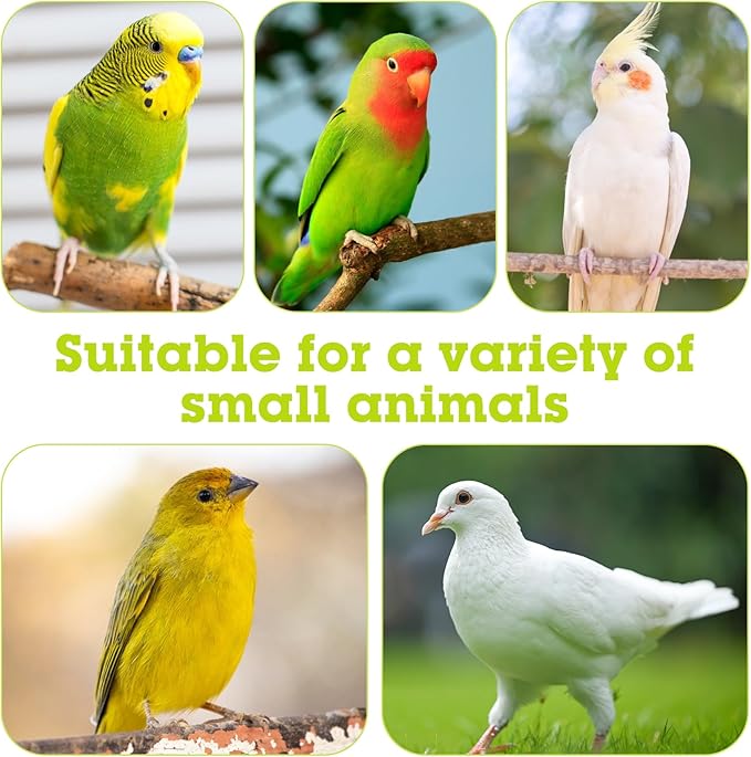 Stainless Steel Bird Bowls for Cage 2 Pcs Parrot Feeding Dish Metal Food and Water Cups Detachable Birds Cage Feeder Hanging Finch Food Plates with Perch for Parakeet Budgie Lovebird (White)