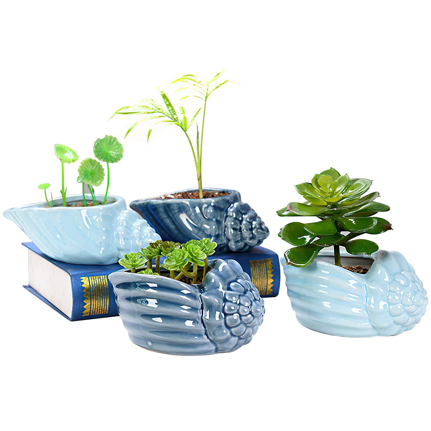 Foraineam Succulent Plant Pots, 5.5-6.5 Inch Ceramic Flower Planter Pots, Blue Conch Ocean Seashell Series, Set of 4 Succulent Cactus Plant Container with Drainage Hole