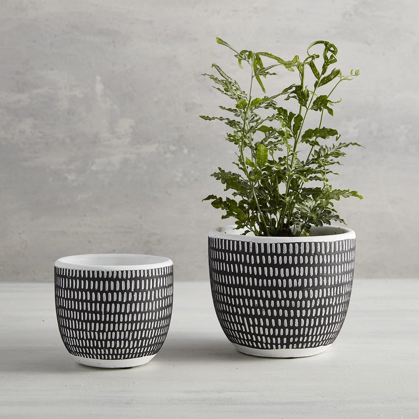 47th & Main Cement Planter Pot, 4.9" Tall, Black Vertical Stripes