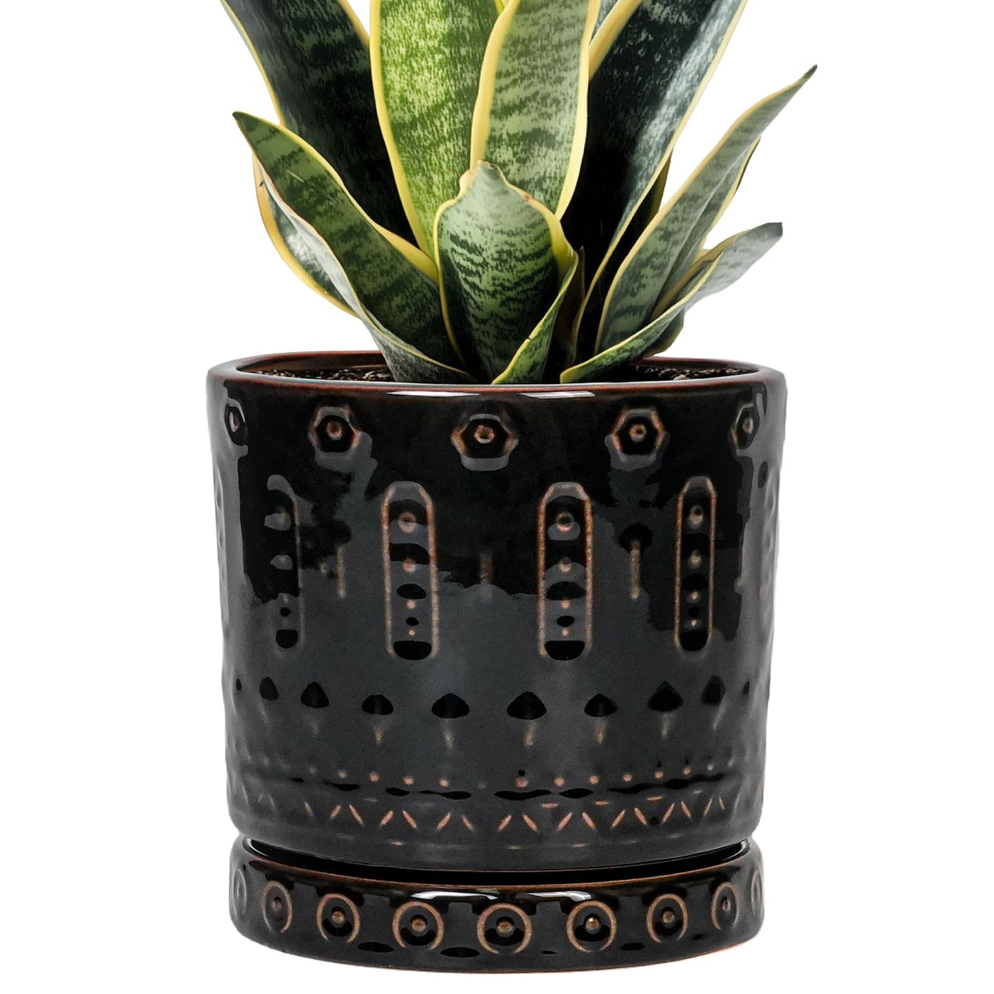 Eightpot Ceramic Plant Pots - 6 Inch Ceramic Planter for Indoor Outdoor, Round Flower Pots with Drainage Hole and Plant Saucer, Boho Decorative Small Planter, House Decor, Gifts for Gardeners, Black