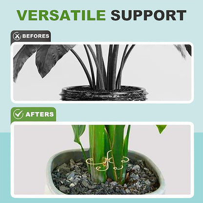 Plant Stem Support Set, Reusable Plastic Climbing Plant Supports Plants Trellis Plant Support for Indoor Plants, Upgrade Plastic Reusable Plant Stabilizer, Indoor Plants Accessories (Heart, 3pcs)