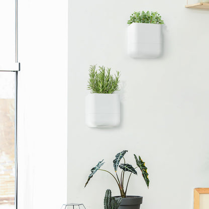 Phoenix Vine 6.5 Inch Wall Mounted Self-Watering Planter Pot for Indoor Houseplants and Herbs | Hanging Planter for Window Sills, Bathroom Walls, Home & Office Décor, White, Set of 3, 01-C-D-3