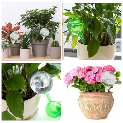 Plant Watering Globes, Self Watering Bulbs for Indoor & Outdoor Plants, Plastic Self-Watering Balls Automatic Water Irrigation Device (Clear, Large 12 Pack)