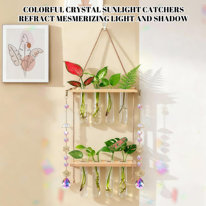 Hanging Propagation Stations with Crystal Suncatchers Glass Wall Planters for Indoor Plants Hydroponics, 2 Tiered Wooden Stand Mini Test Tube Flower Vase Glass Planter Stations for Home Decor (Beige)