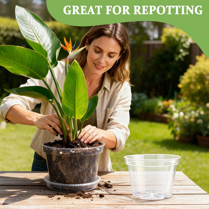 10 Pack 10 Inch Clear Nursery Pots with Saucers, Transparent Sturdy Plastic Plant Pots, Large Gardening Pots with Drainage Hole, Planting Starter Pot for Indoor Outdoor Flowers Herbs Vegetables