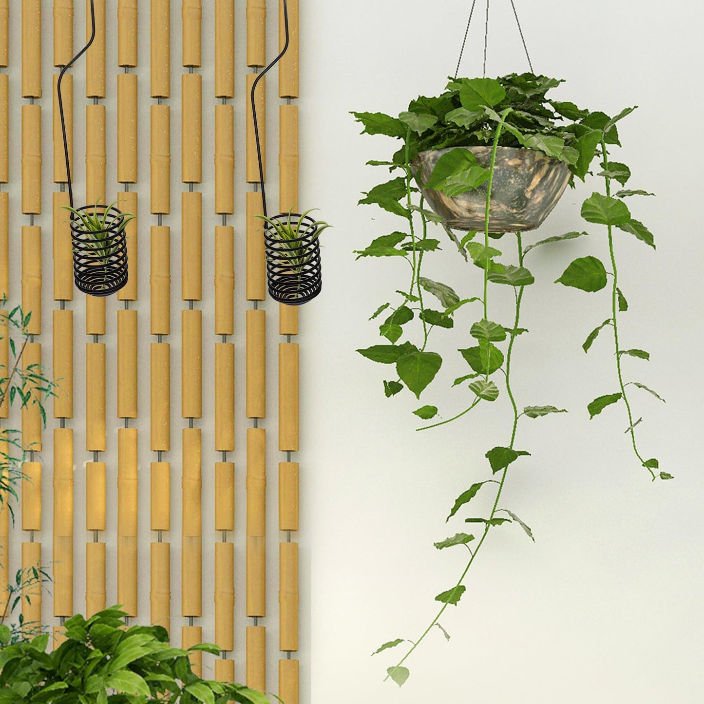 PAMINGONO 2 Pcs Air Plants Holders Hanging Hooks Spiral Plant Display Hangers 37cm Metal Air Fern Holders for Wall and Ceiling Indoor Garden Decor