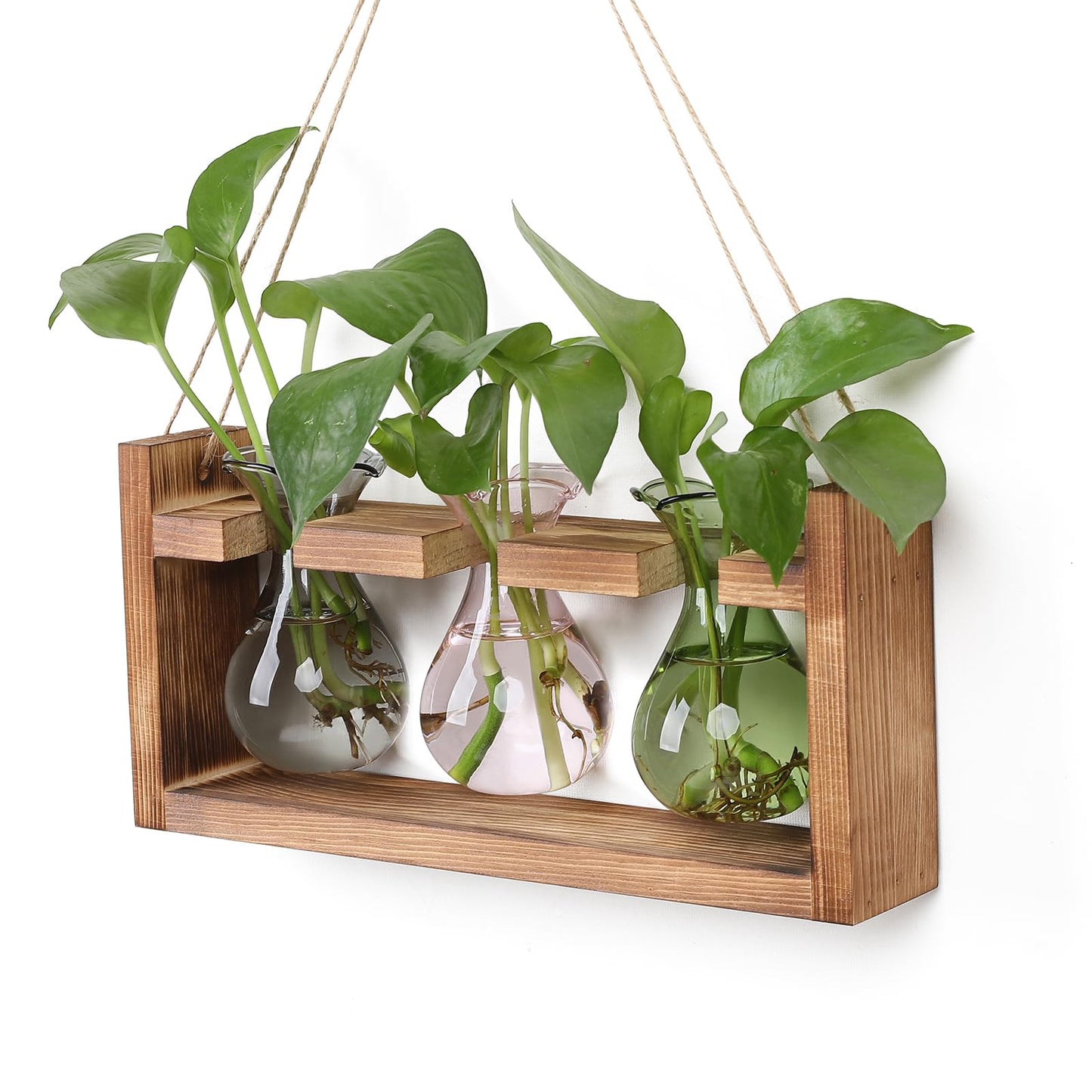 Plant Propagation Station Plant Terrarium Unique Birthday Gifts for Women Home Office Decor Planter with Wooden Stand - 3 Bulb Glass Vase