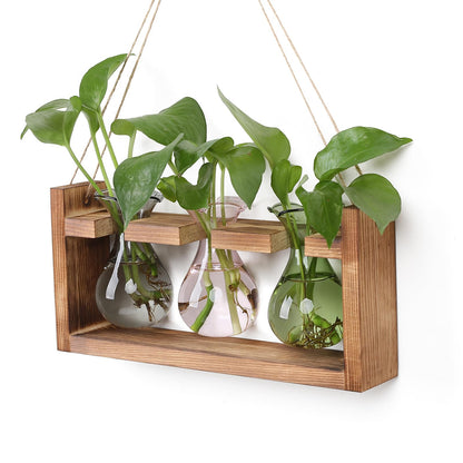 Plant Propagation Station Plant Terrarium Unique Birthday Gifts for Women Home Office Decor Planter with Wooden Stand - 3 Bulb Glass Vase