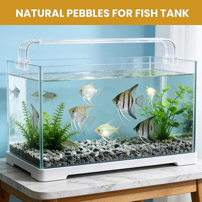 1/8 Inch Aquarium Gravel, Small Pebbles for Fish Tank & Indoor Plants, Natural Mini River Rocks for Succulent Soil Mix, Drainage, Terrarium & Vase Filler - Gray, 3 lb