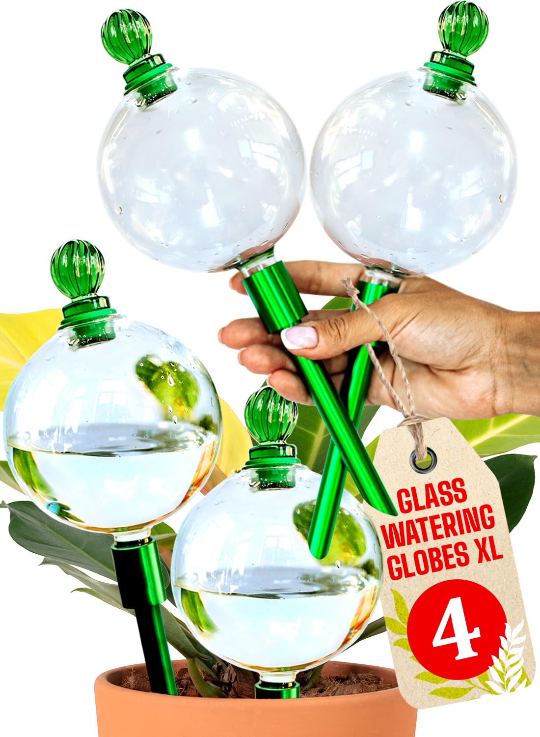 4pcs 16 Oz Plant Watering Globes for Indoor Plants with Metal Self Watering Planter Insert - Premium XL Glass Hand-Blown Globes - Automatic Plant Waterer Indoor, Gift Idea for Gardeners [4, Clear]