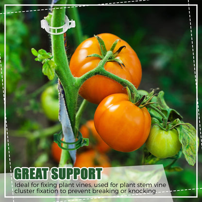 Vesici 600 Pcs Tomato Clips Garden Plant Support Clips for Climbing Plants Plastic Trellis for Climbing Vegetable Grape Vine Cucumber Flower Outdoor Indoor to Grow Upright Makes Healthier