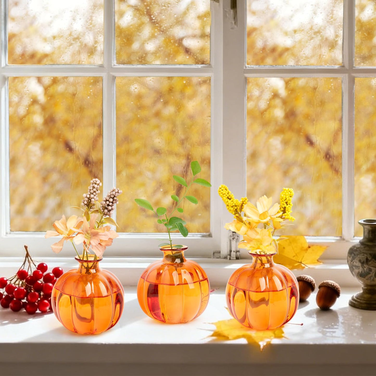 XXXFLOWER Plant Terrarium Propagation Stations Unique Gifts for Women Plant Lovers 3Pcs Pumpkin-Shaped Glass Vase for Tabletop Home Office Garden Decor (Plants NOT Included)
