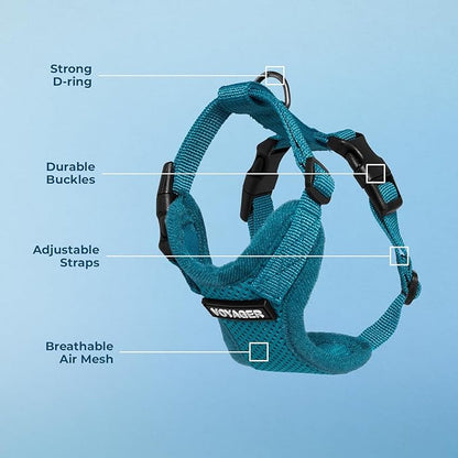 Voyager Step-in Pet Harness - All Weather Mesh, Adjustable Step in Harness for Cats and Dogs by Best Pet Supplies - Turquoise, XL