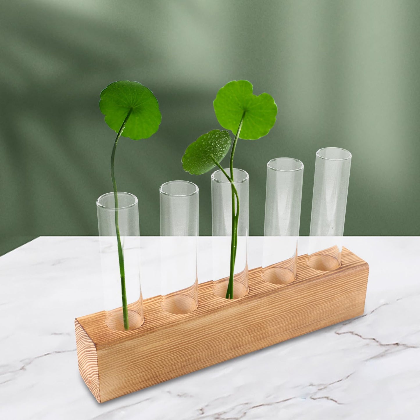 GRIRIW Glass Hydroponic Planter with 5-Hole Wooden Stand, Indoor Plant Terrarium Vase for Water Propagation, Test Tube Bud Vase for Home and Office Décor