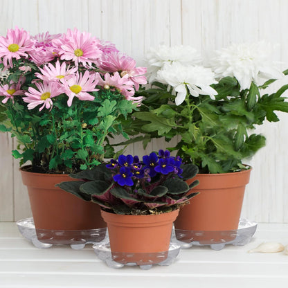 ANPHSIN 15 pcs Heavy-Duty Plant Saucers with Feet, 6in/8in/10in Clear Plastic Plant Drip Trays, Flower Pot Water Catchers Drainage Saucers for Indoor Outdoor Potted Plant