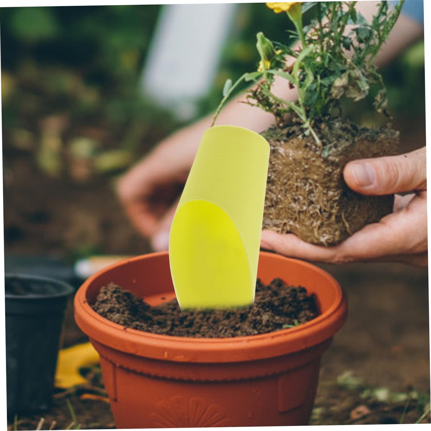 SUPVOX Bonsai Scoop 5pcs Plastic Plant Scoops Mini Garden Shovel Easy Cleaning Great for Potting Bonsai Mulch Random Color