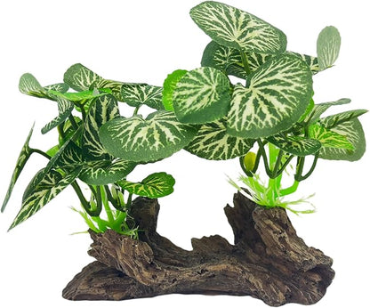 Aquarium Driftwood, Natural Fish Tank Decor for Betta, Reptile Hideout & Terrarium Ornament, Type-B