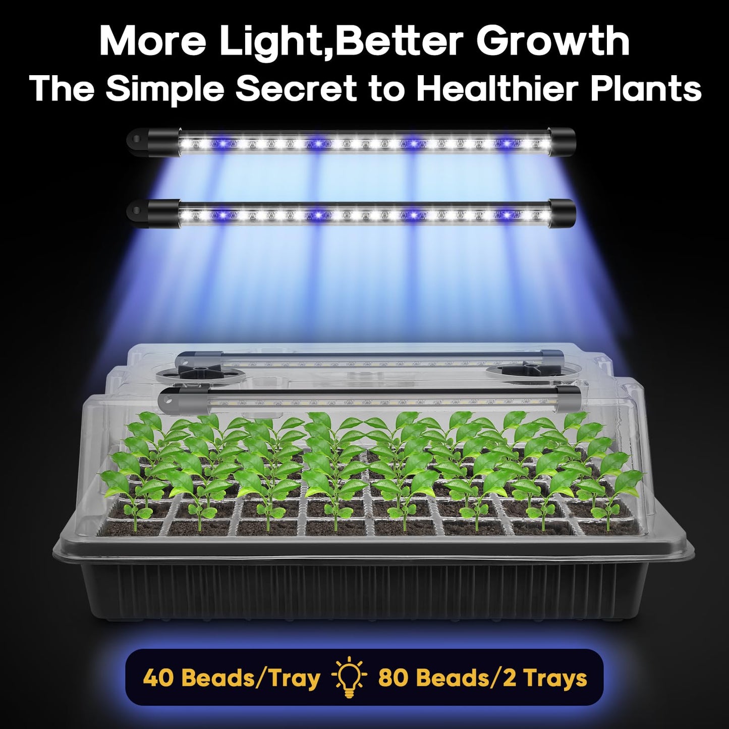 BlumWay Seed Starter Tray with Grow Light,2 Pack 80 Cells Seedling Tray Kit with Humidity Dome/Indoor Plant Starter Kit, Adjustable Brightness Plant Germination Trays-Black