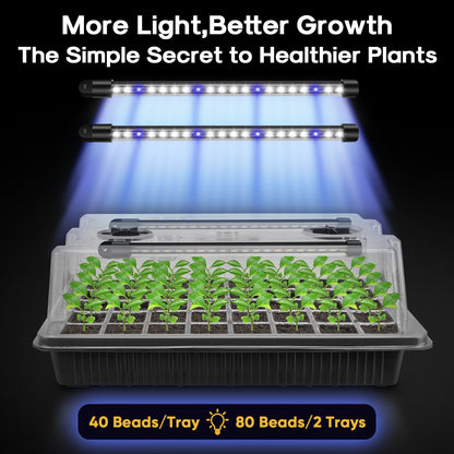 BlumWay Seed Starter Tray with Grow Light,2 Pack 80 Cells Seedling Tray Kit with Humidity Dome/Indoor Plant Starter Kit, Adjustable Brightness Plant Germination Trays-Black