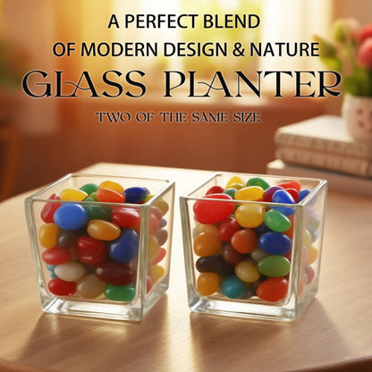 Set of 6 Square Glass Vases for Centerpieces – 5in x 5in x 5in Clear Short Flower Vase, Plant Terrariums, or Candle Holders for Wedding Centerpieces, Office Decor, Home Décor, Parties