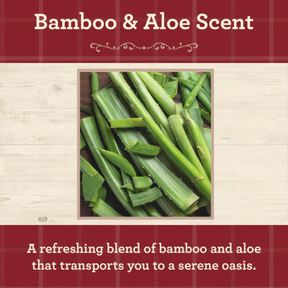 Our Own Candle Company, Bamboo & Aloe Scented Mason Jar Candle, 100 Hour Burn Time, 13 Ounces