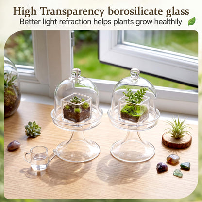 Gandeer 6 Pack Mini Glass Cloche with Base Bell Jar Dome & Acrylic Cube Planter 2.7 x 2.7 x 5'' Clear Glass Terrarium for Succulents Moss Cakes Miniature Dioramas Specimens Jewelry Rings Display