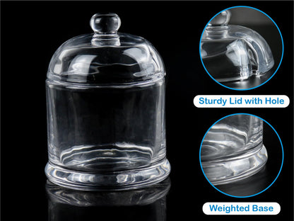 HillSpring Thick Glass Salt Cellar with Stainless Steel Spoon, Clear Container for Kosher, Sea, Himalayan Salt, Sugar, Pepper, Heavyweight Spices Jar, 10 oz (1, Transparent, Medium)
