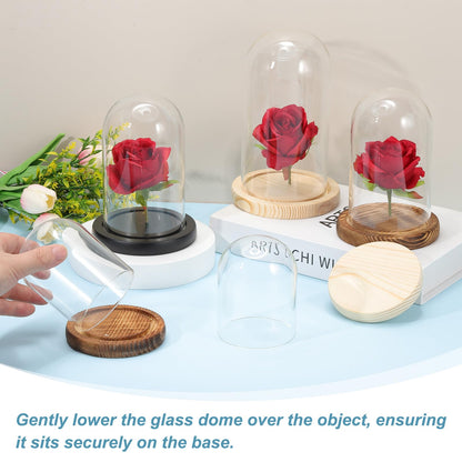uxcell Glass Cloche Display Dome, 5.1" x 3.9" Glass Dome Display Case Wood Base Tabletop Jar Case Decorative Bell Jar for Plant Home Decor Office Wedding Party, Natural