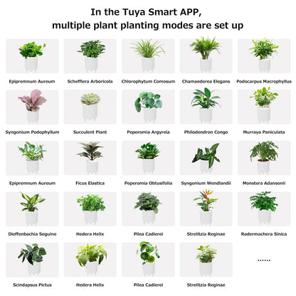 TPHRAVAL Intelligent Flower Pot, Electronic Bud, Maintenance Plant Assistant, Fun Interactive Flower Pot, Indoor Green Planting Monitoring, LCD Screen Display, Cell Phone APP Connection (White)