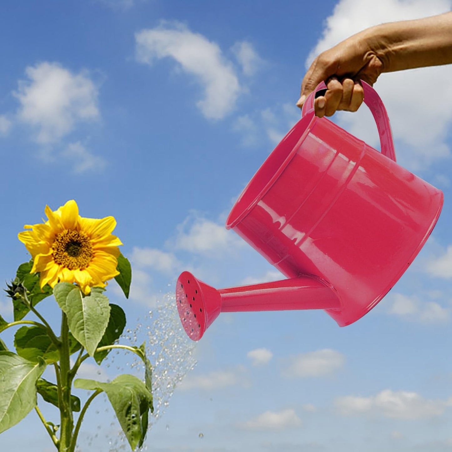Galvanized Watering Can 1L,Tinplate Watering Kettle with Removable Spout,Garden Decorations,Gardening Tools for Outdoor Indoor Plants Lawn Garden (Rose Pink)