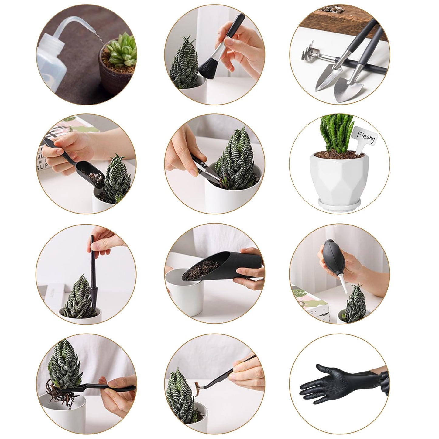 Succulent Tools and Plastic Succulent Pots