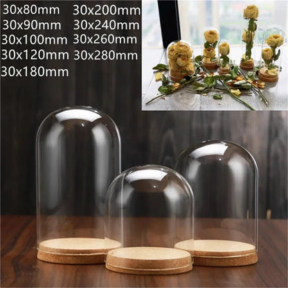 10X Da30mm Glass Bottle Terrarium Jar Cork Base Dome Dust Cover DIY Specimen Succulent Plant Micro Landscape Flower Vase Display(30x70cm)