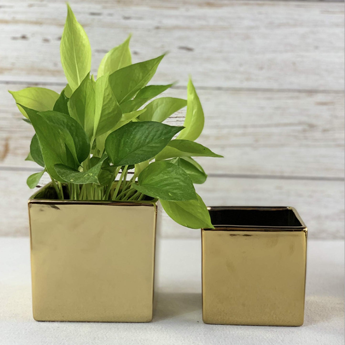 WGV Ceramic Cube Vase Bulk Width 5.5" Height 5" (Fits 5" Pot) Elegant Modern Block Square Floral Planter Terrarium Container Table Dresser for Event Accent Home Office Decor Gold 6 Pieces
