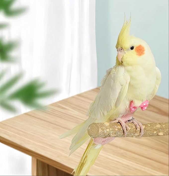2Pcs Bird Diapers Bird Harness Flight Suits Diapers with 80 Inch Flying Leash Parrot Nappy Washable Cute Urine Wet Suit for Cockatiel Conure Macaw Budgies Parakeet-Rabbit&Kitten,S