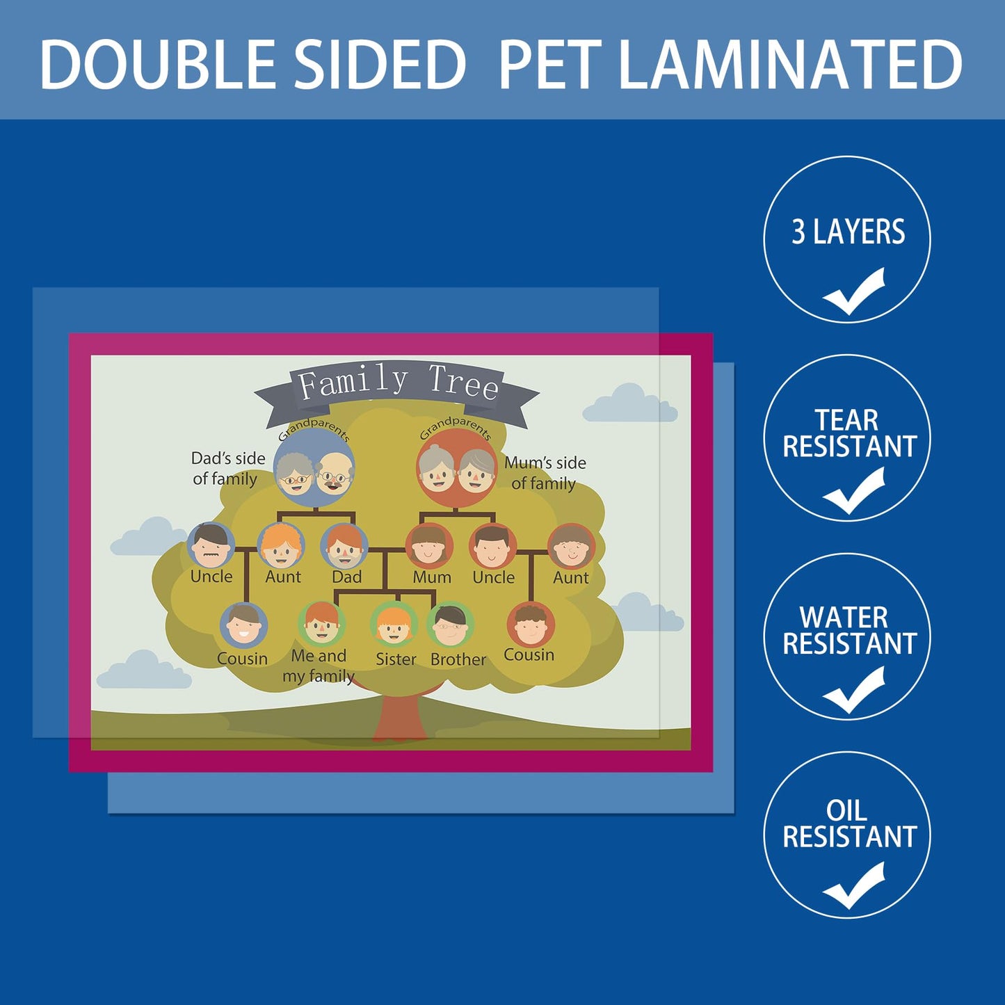 SANTSUN Family Tree Mind Mapping| Educational Posters for Toddlers and Kids | English Teaching Aid Tool| Handy Wall English Charts Reference for Students| Great for School Classroom Décor(17x24in)