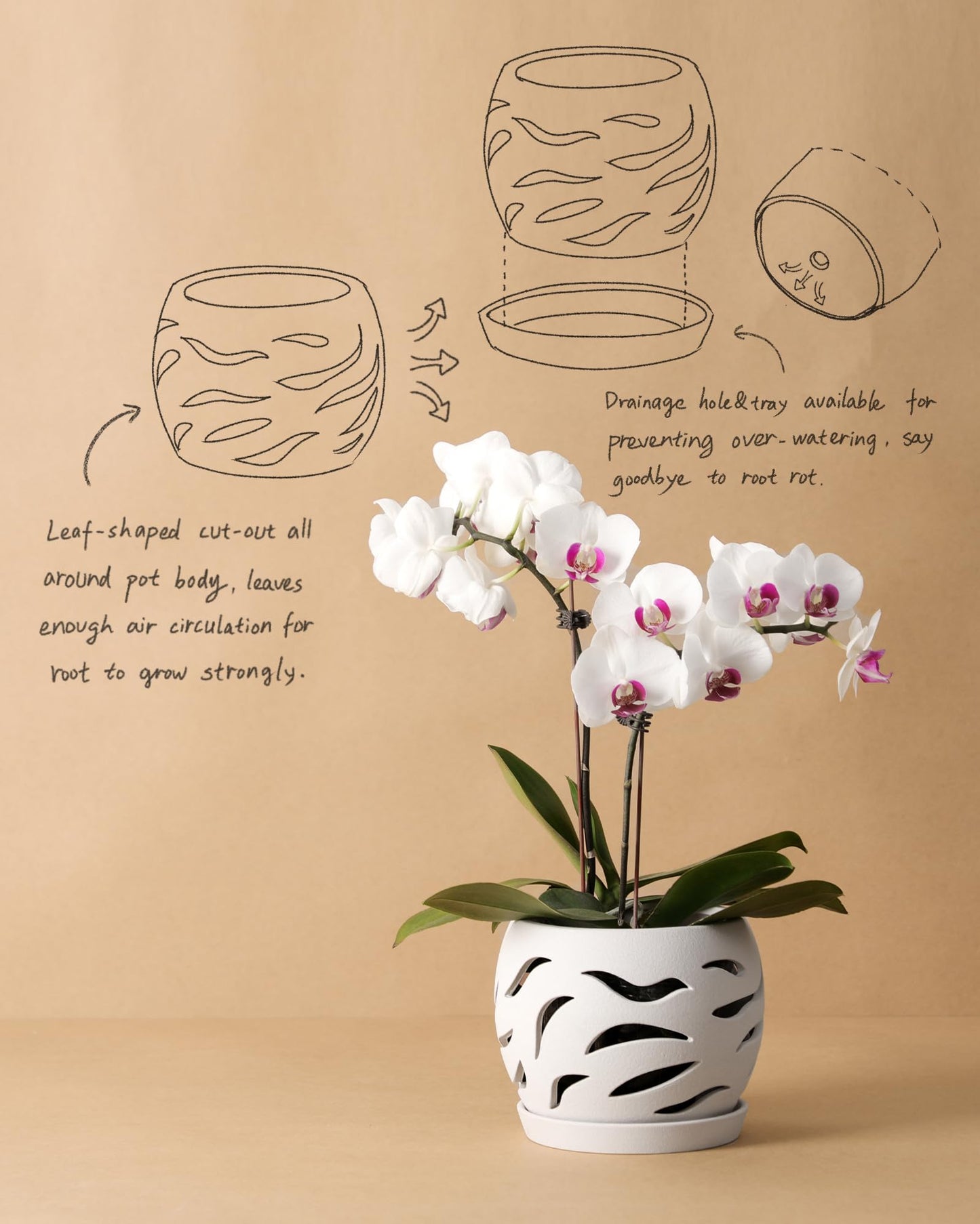 Fayoula Ceramic Orchid Pot with Holes & Saucers, 5.5 inch Plant pots for Indoor and Outdoor use, Wind-Worn Texture Cutout Promoting air Circulation and Drainage(Pots Only)