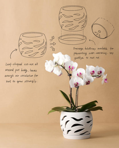 Fayoula Ceramic Orchid Pot with Holes & Saucers, 5.5 inch Plant pots for Indoor and Outdoor use, Wind-Worn Texture Cutout Promoting air Circulation and Drainage(Pots Only)