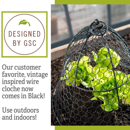 Gardener’s Supply Company Sturdy Chicken Wire Cloche Plant Protector Cover | Sturdy Metal Cage Garden Protection for Your Plants & Seedlings | 16" in Diameter x 12-1/2" H - Black