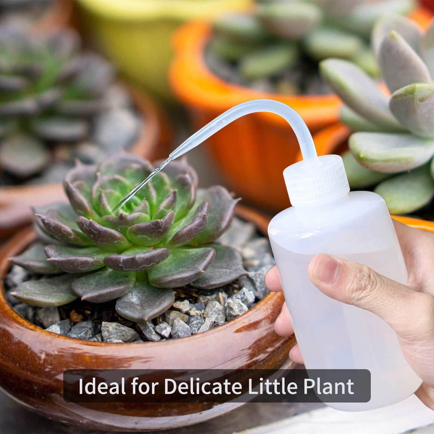 Goowin Watering Can Indoor Plants, 47 oz Long Spout House Plant Flower Watering Can, Creative Wide Opening Plastic Watering Can with 16 oz Spray Bottle & 8.5 oz Squeeze Bottle, Blue