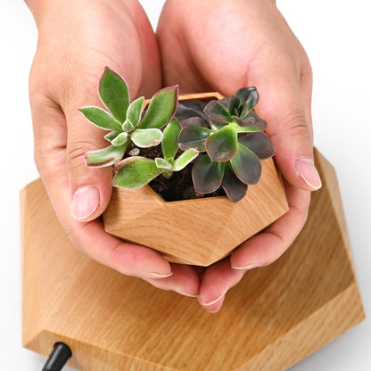 Leekimid Levitating Plant Pot, Magnetic Levitation Flower Pot Suspension Floating Plant Succulents, Air Bonsai Potted Plant for Home Decoration, Living Room, Office, Desk (Wood)