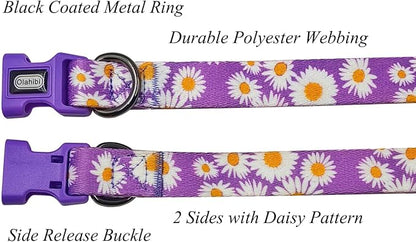 Dog Collar and Leash Set, Cute Daisy Pattern, Polyester Material, 5ft Leash, for Small Dogs.(Small,Purple Daisy)