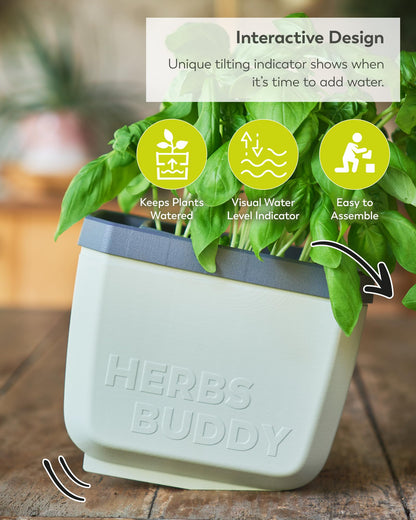 BUZZY Seeds Herb Buddy Self-Watering Herb Planter with Water Level Indicator – Indoor Kitchen & Windowsill Planter (Grey)