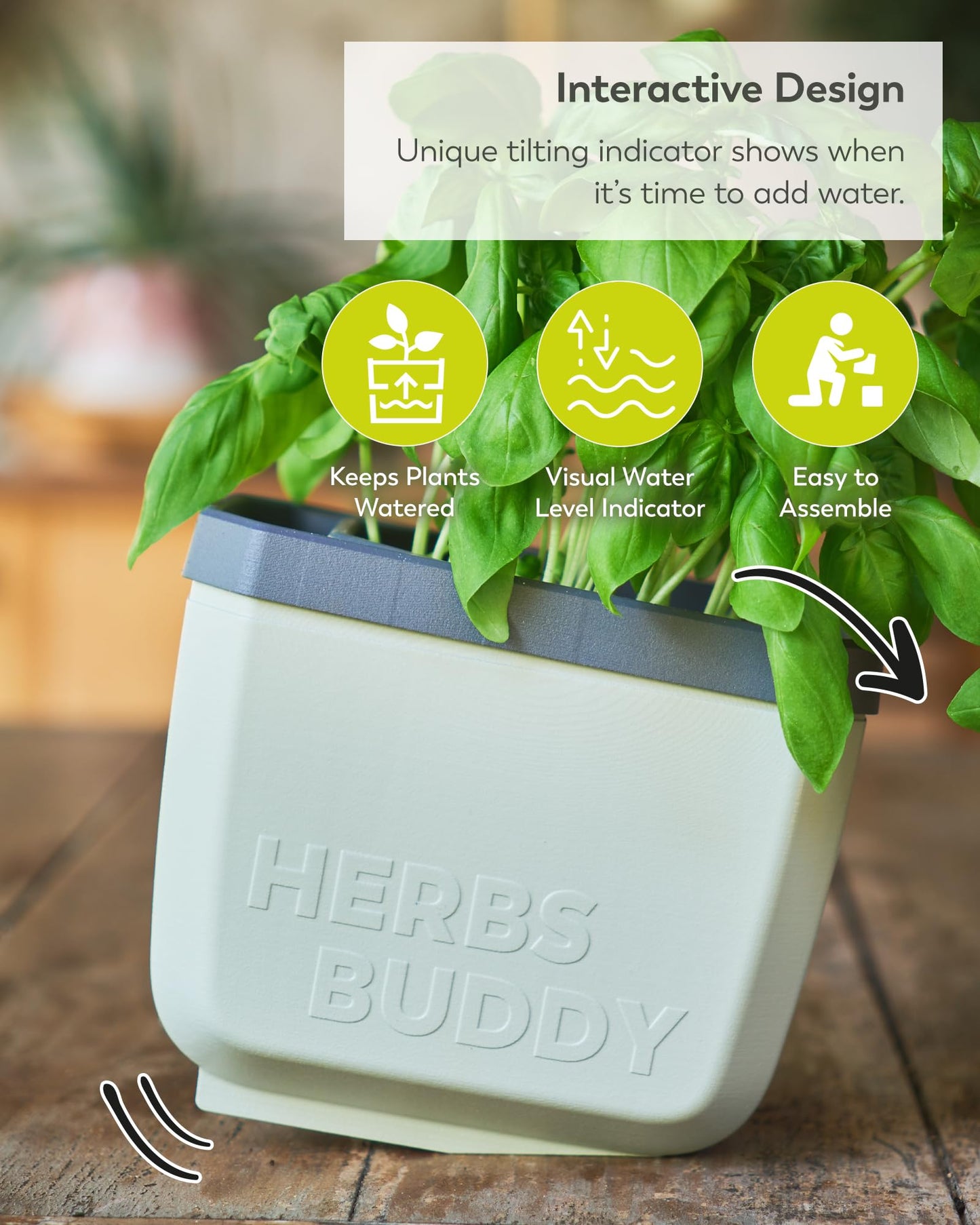 BUZZY Seeds Herb Buddy Self-Watering Herb Planter with Water Level Indicator – Indoor Kitchen & Windowsill Planter (Green)