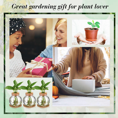 Baderke 2 Packs Propagation Vases for Plants Plastic Plant Propagation Station with Hole Lid and Cork Coasters Plant Growing in Water Hydroponic Home Office Table Decoration(Fish Bowl Style)
