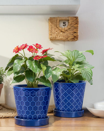 EFISPSS Ceramic Plant Pots, 5Inch Pots for Indoor Plants, Planters with Drainage Holes and Ceramic Tray,Plant Lover Gift, Desktop Office Windowsill Decoration Gift Set of 4 - Blue