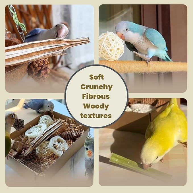 40PCS Natural Foraging & Chew Parrot Toy,Shredding Box for Parakeets, Cockatiels, Conures & Lovebirds and Other Small to Medium Birds (Large)