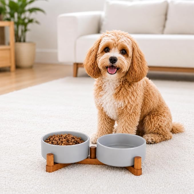 Ceramic Dog Bowl and Cat Bowls Set with 15° Adjustable Wood Stand, Non-Slip Weighted Pet Food and Water Bowls, Dual Raised Feeder for Small Dogs, Matte Glaze Pet Dish 13.5oz Set of 2 (Gray & Chestnut)