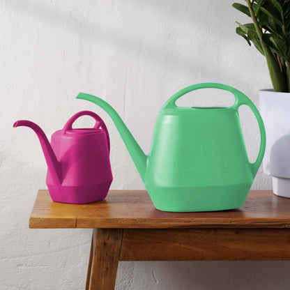 Bloem Aqua Rite 56 Fl Oz Plastic Watering Can - Indoor & Outdoor, Narrow Spout, Comfortable Dual Handles for Flowers & Houseplants, Fuchsia