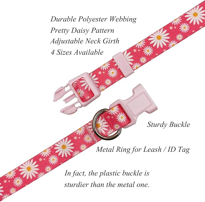 Dog Collar Leash Set, Floral Pattern, Polyester Material, Adjustable Collar and 5ft Matching Leash, for Medium Dogs.(M, Daisy)